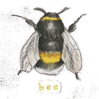 Bee 1 - monoprint on paper (open edition prints avaliable)